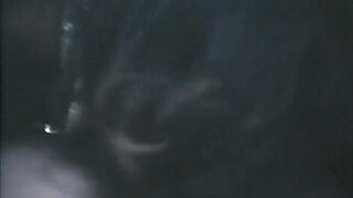 French Shampoo (1975, US, Annie Sprinkle, full movie, DVD)