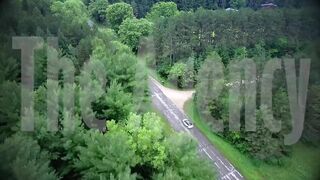 AllHerLuv - The Shemale hentai Agency