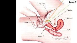 How to have a female ejaculation, become squirter - Vic Alouqua