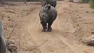 MILF Marina Beaulieu gets fucked in advance of dinner - MySexMobile