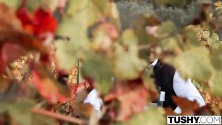 Tushy: Stunning Stefany Accepts Hot DP Offer On Holiday On PornHD - HD porn movie scene - PornHD