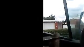 Shlong Flash In Car For Danish Teen