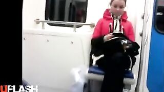 English Educate Flash