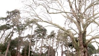 ANAL CASTING FOR AGNES FIRST PORN EVER