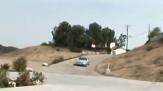 Concupiscent white babes on big black jocks (Sean Michaels, Gina Lynn)