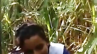 Desi bhihari virgin angel banged with lover in kheti painful