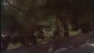 Greek softcore movie!Do you cord up me? 1988