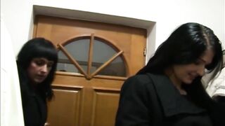 Big Fun At Swingers Party