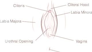 Top 10 Tips how to Taskmaster Fingering