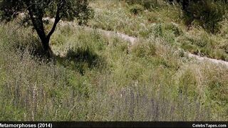 Teen celebrities bare and sex movie scene scenes