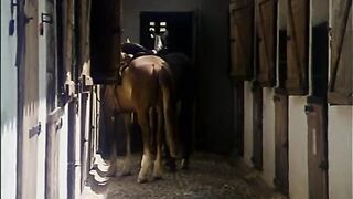 Apocalipsis Sexual (1982)