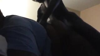 Big booty, Ebony BBW is getting banged in a doggy- style position and moaning whilst cumming