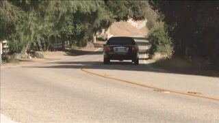 New couple gets introduced into a swingers orgy