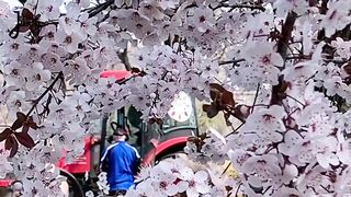 JUICY PUBLIC SQUIRT COMPILATION - LaraJuicy